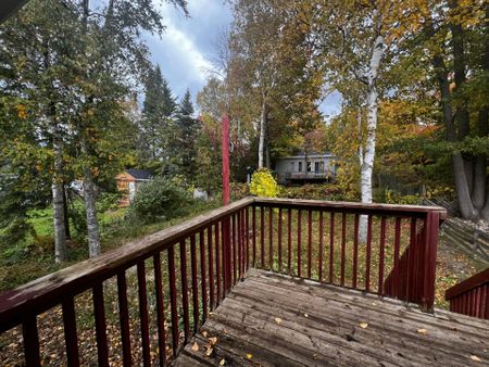 For Lease - 59 Lee Street, Wasaga Beach, Ontario - Photo 3