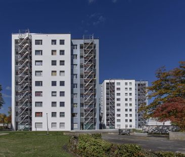Demnächst frei! 3-Zimmer-Wohnung in Koblenz Kartause - Photo 1
