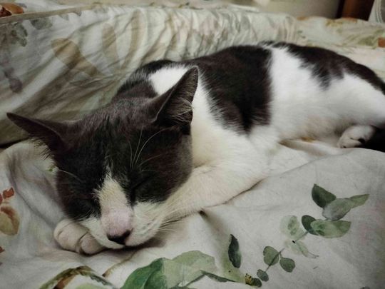 Highgate Hill - Photo 1