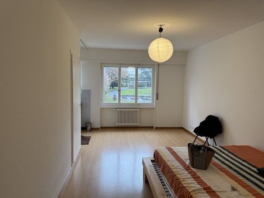 A saisir ! Charmant studio proche de toutes commodités ! - Photo 1