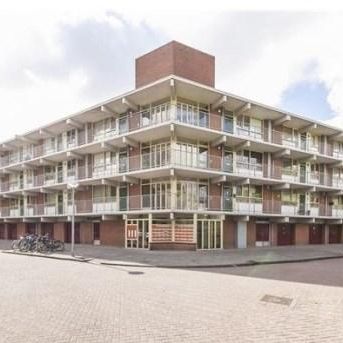 Amerbos 0ong, 1025 Amsterdam, Nederland - Photo 1