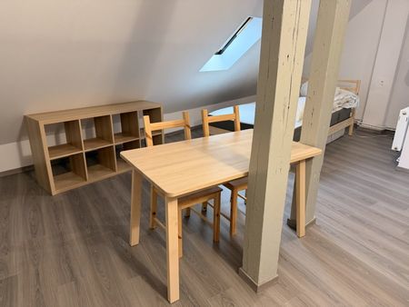 Appartement 1 pièce à Strasbourg - Photo 2