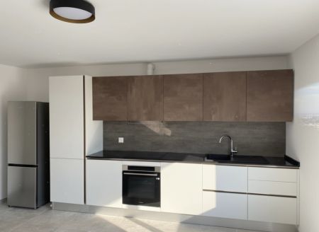 À louer – Superbe maison contemporaine de 6.5 pièces à Riaz (FR) - Photo 2