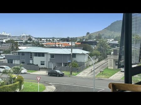 Downtown the Mount - Photo 5