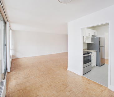 Large, Bright, Renovated 3 BD in PRIME Etobicoke! - Photo 4