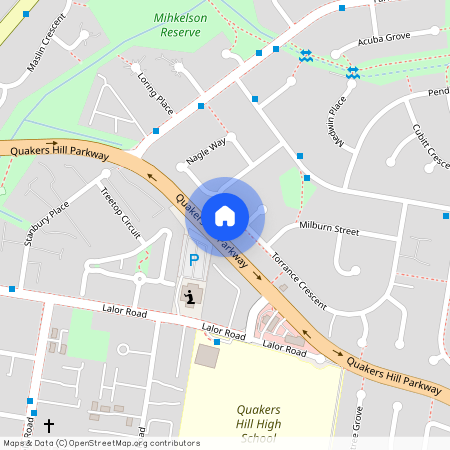 79 Torrance Crescent, Quakers Hill NSW 2763