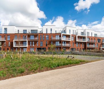 Appartement te huur in Ronse - Photo 3
