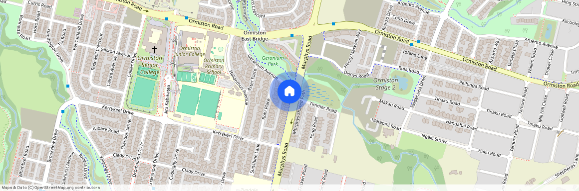 242 Murphys Road, Flat Bush, Manukau City