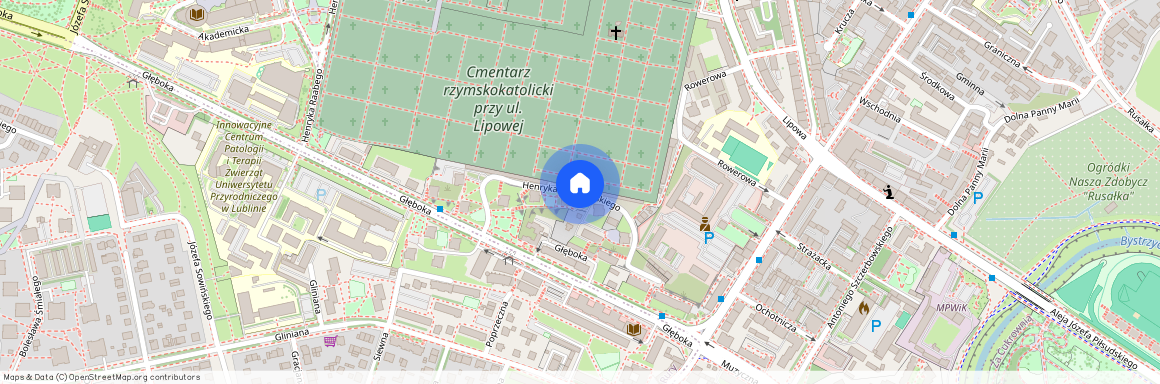 Śródmieście, Henryka Wiercieńskiego, Lublin