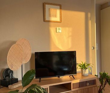 IJsbaankade - Foto 4