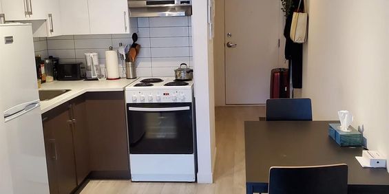 Studio - Montréal - $1,195 /mo - Photo 3