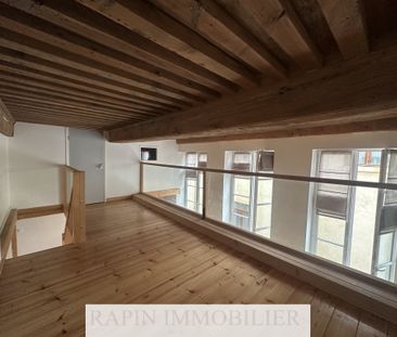 LYON 4e / Plateau - Photo 6