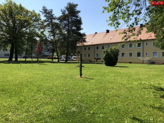 Die Natur vor der Haustüre: Ruhige Grünlage, ohne auf die Vorteile einer hervorragenden Infrastruktur verzichten zu müssen! Schnell sein und diese gemütliche Wohnung mit praktischer Raumaufteilung sichern! - Photo 1