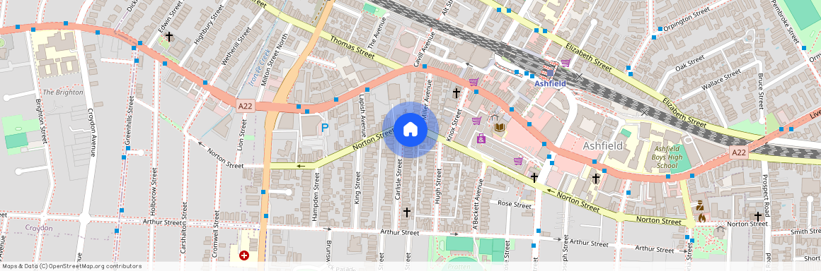 6 Carlisle Street Ashfield NSW, Inner West