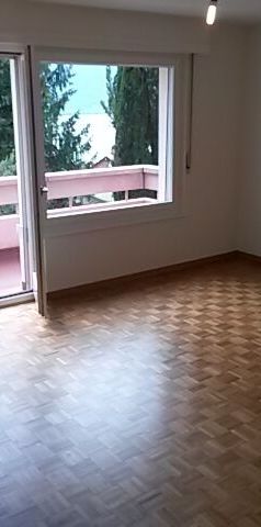 2½-room apartment - Foto 1