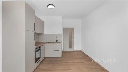 Moderní byt 1+kk s parkovacím stání a sklepní kójí - ul. Topolová, Milovice - Mladá - Photo 4