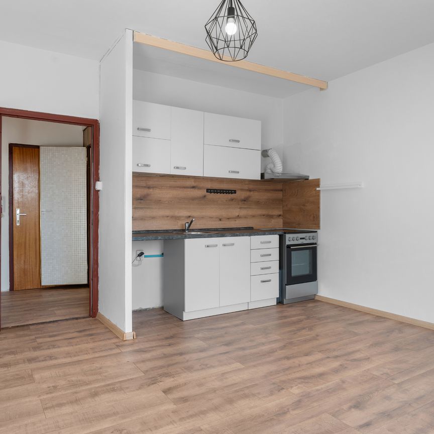 Pronájem bytu 1+1 v osobním vlastnictví 41 m², Ústí nad Labem - Fotografie 1
