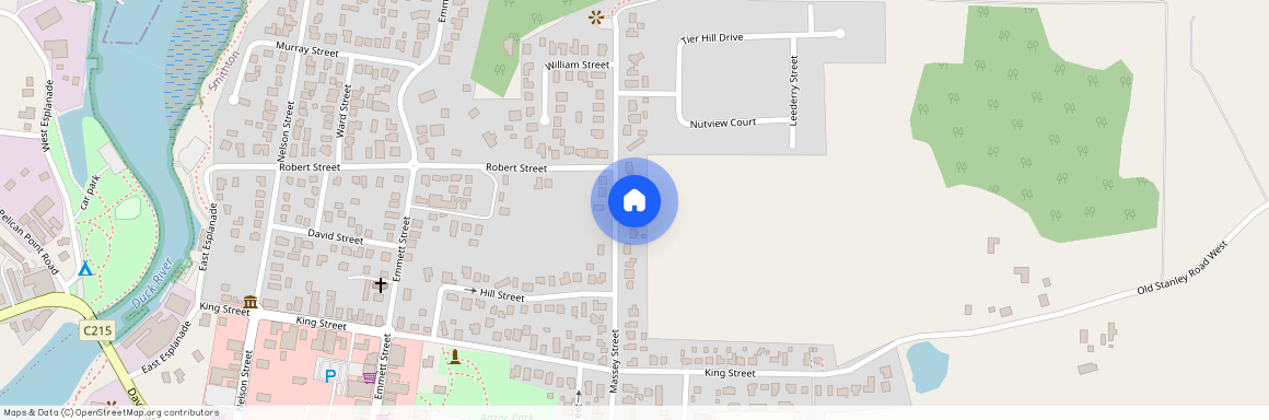 81 Massey Street, Tas 7330, Smithton