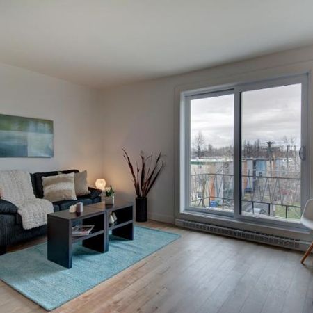 Appartement 3 ½ à louer Limoilou mars 2026 - Photo 4