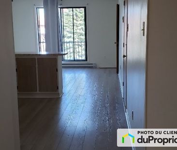 1881, rue Jules-Crepeau, Ahuntsic / Cartierville à louer - Photo 2