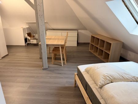 Appartement 1 pièce à Strasbourg - Photo 3