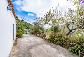 **¡Se Alquila Casa en Agulo, Las Rosas!** – 0067-04335