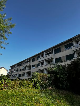 3.5 Zimmer, 62 m², EG - Foto 1