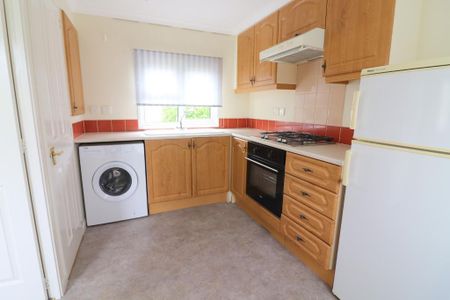 1 bedroom park home to rent - Photo 5