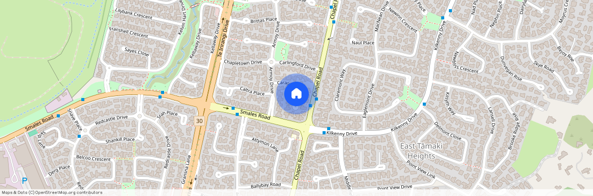 20 Caragh Place, East Tamaki, Manukau City