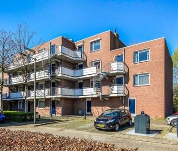 Terneuzenstraat 6845 Arnhem - Photo 2