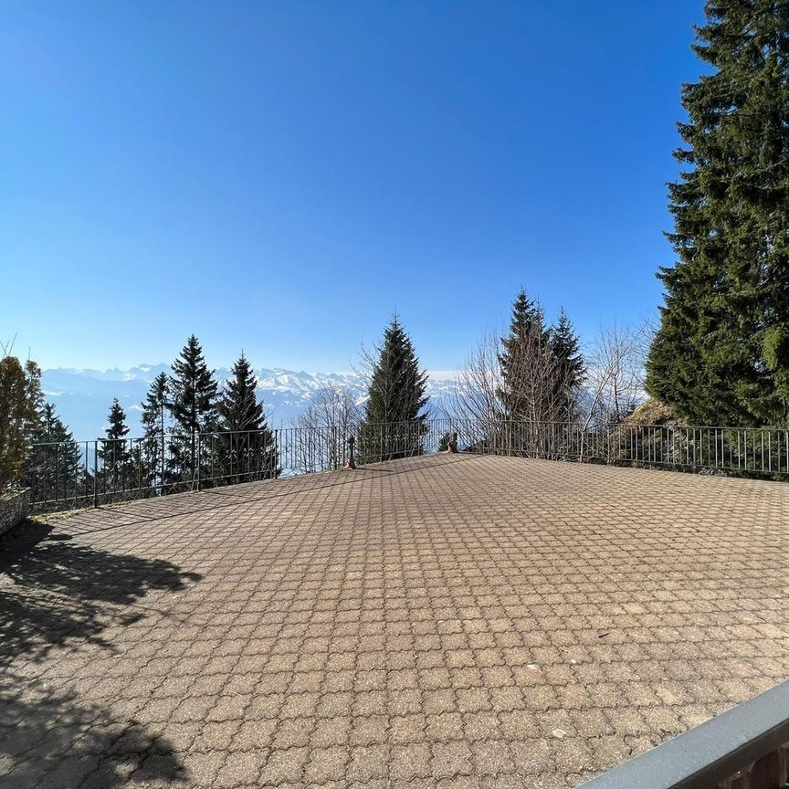 Rent a 2 rooms terrace flat in Rigi-Kaltbad - Photo 1