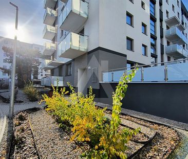 Mieszkanie na wynajem - Zdjęcie 5