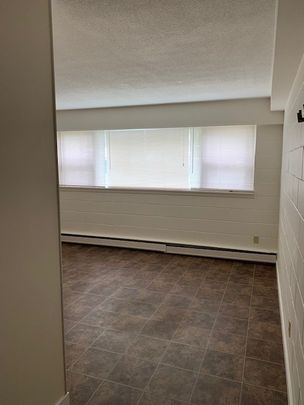 1 BDRM/1 BATH - 1909 7TH ST E - Available FEB 1 - Photo 1