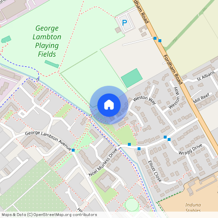 Weston Way, Newmarket