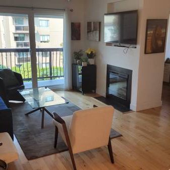 Renovated, Furnished 1 bedroom apartment in Fairview - Photo 3