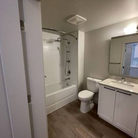 Modern 1BR/In suite laundry/SS appliances/On site management/No pets - Photo 4