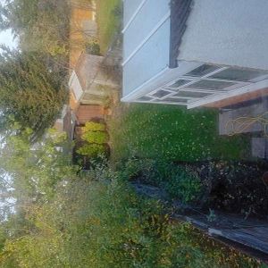 Sylvester Road, Wembley, HA0 - Photo 3