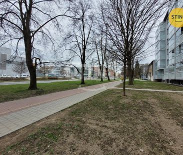 Pronájem bytu 1+kk a garsoniéry 24 m² - Photo 4