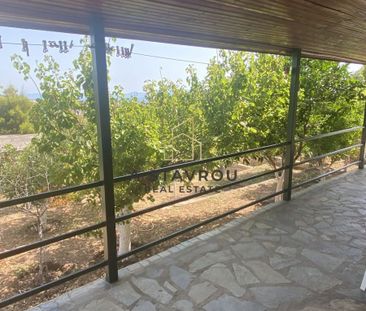 Διαμέρισμα για ενοικίαση Βραυρώνα (Αρτέμιδα (Λούτσα)) - Photo 2