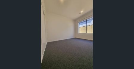 Brand New Luxury Living - Photo 2