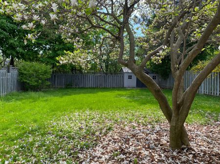 For Lease - 55 Leacock Crescent Unit# BSMT, Toronto, Ontario - Photo 5