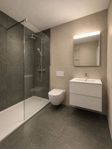 MODERNE, frisch sanierte 2.5-Zimmer-Loftwohnung mit Aussicht - Photo 2