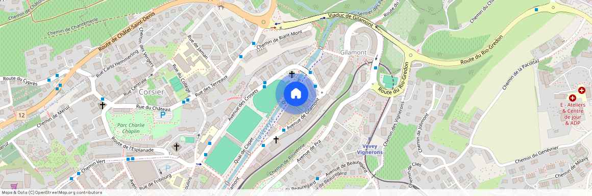 Avenue de Gilamont 21D, 1800 Vevey