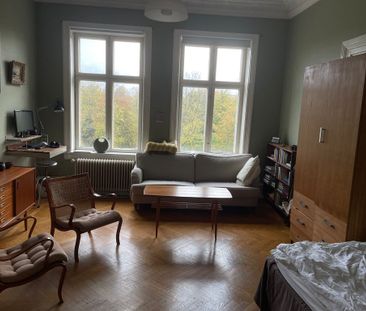 Regementsgatan, Malmö - Photo 6