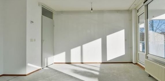 Room Den Haag - Theresiastraat - Foto 2