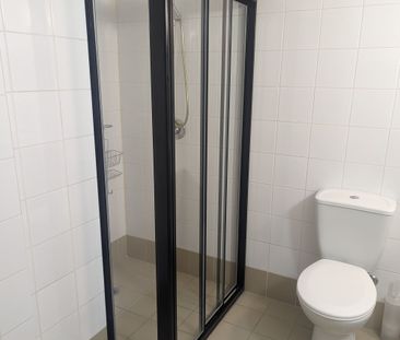 Moore Park Gardens - Furnished - Available 16th April - Photo 6