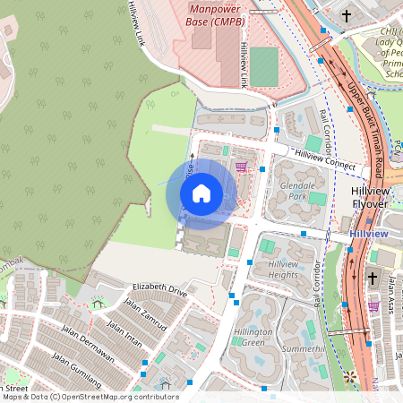 Blk 8 HILLVIEW RISE S(667971)