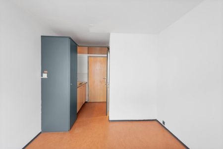 1 room apartment - Photo 4