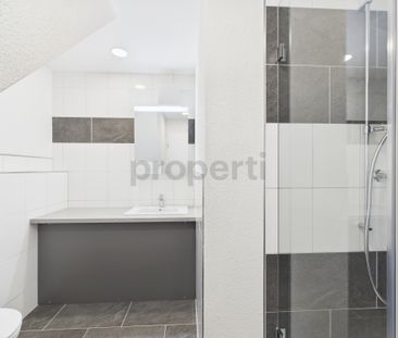 Frisch sanierte und helle Wohnung mit Galerie an toller Lage in Birr - Foto 5