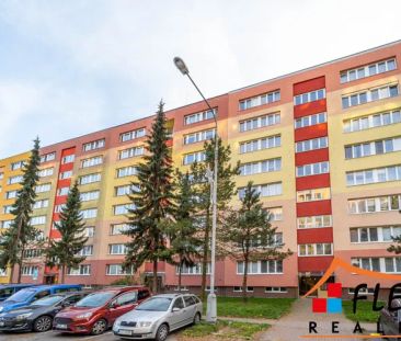 Podnájem družstevního bytu 1+1, 41 m - Photo 3